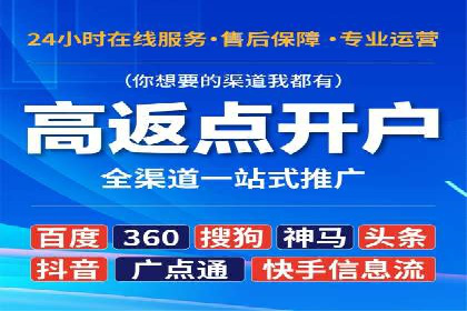 竞价排名在电商行业的实战案例